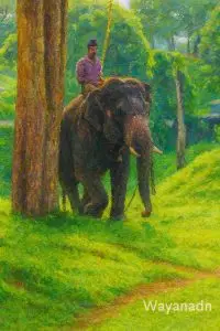 optimized elephant painting