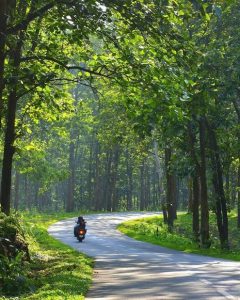 Wayanad HD photos, Wayanad Visiting places