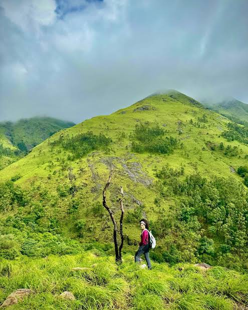 Forest path during post-monsoon in Wayanad