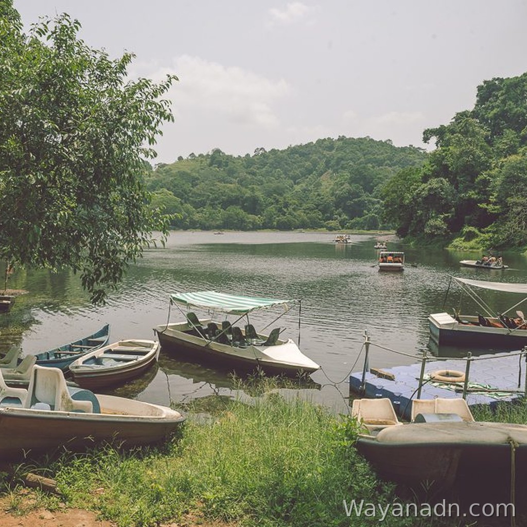 Pookode Lake Wayanad