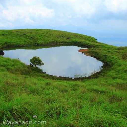 Chembra Peak Wayanad