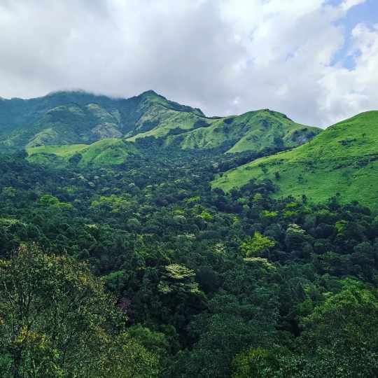 Wayanad visiting places, Wayanad HD photos