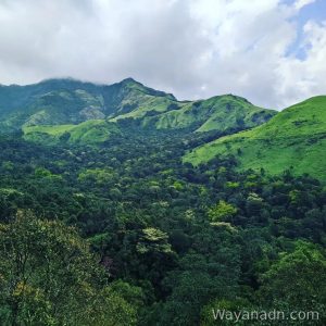 Wayanad visiting places 900 Kandi