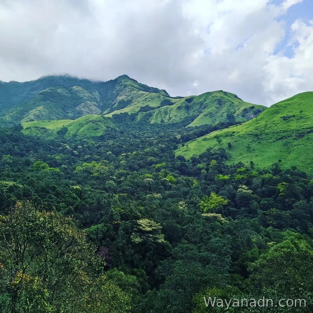 900 Kandi Wayanad