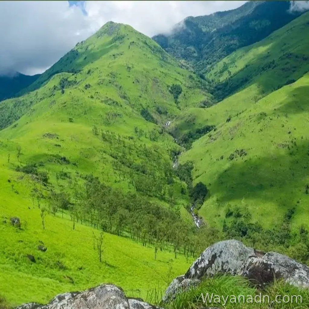 Aranamala Wayanad