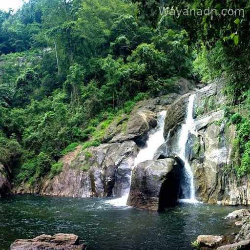 Meenmutty Falls Wayanad
