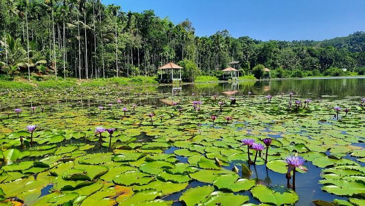 Karlad Lake Wayanad