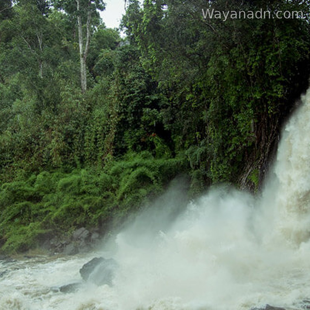 Soochipara Falls Wayanad