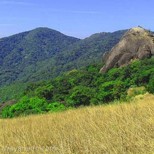 Pakshipathalam Wayanad