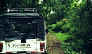 Wayanad Jeep Safari Rates - 900 Kandi jeep safari