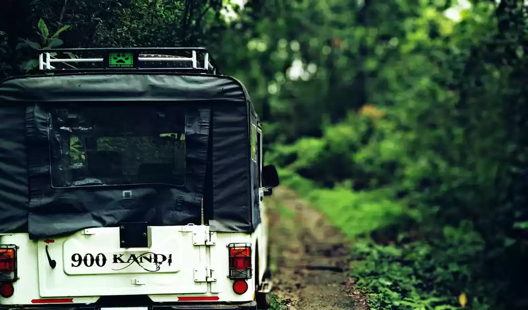 Wayanad Jeep Safari Rates - 900 Kandi jeep safari
